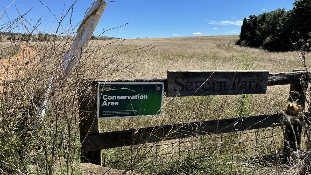 Charles Massey's farm Severn Park is near Cooma on the Monaro Plain. Picture: Soofia Tariq