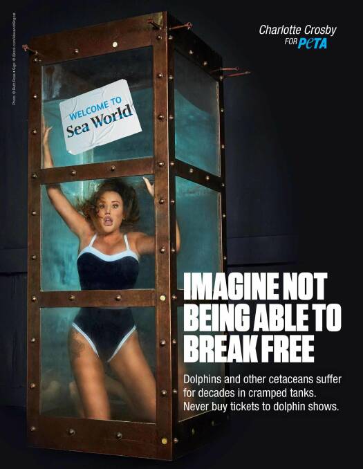 Charlotte Crosby featured in a PETA UK ad in late 2019 to protest cruelty to orcas and other dolphins at Sea World. Picture: Supplied
