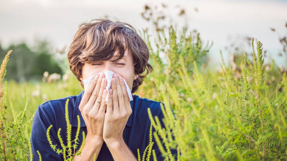 Canberra's pollen seasons are likely to get worse, a pollen expert says. Picture: Shutterstock