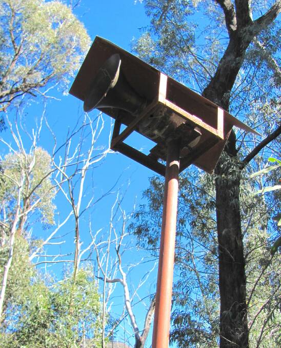 Do you know anything about this siren in Tidbinbilla Nature Reserve? Picture by John Evans