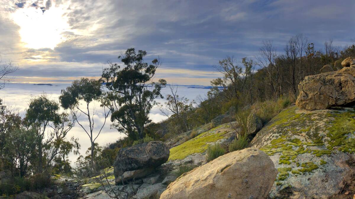High above the clouds on a section of the new Mt Tennent track. Picture: Iconic Trails