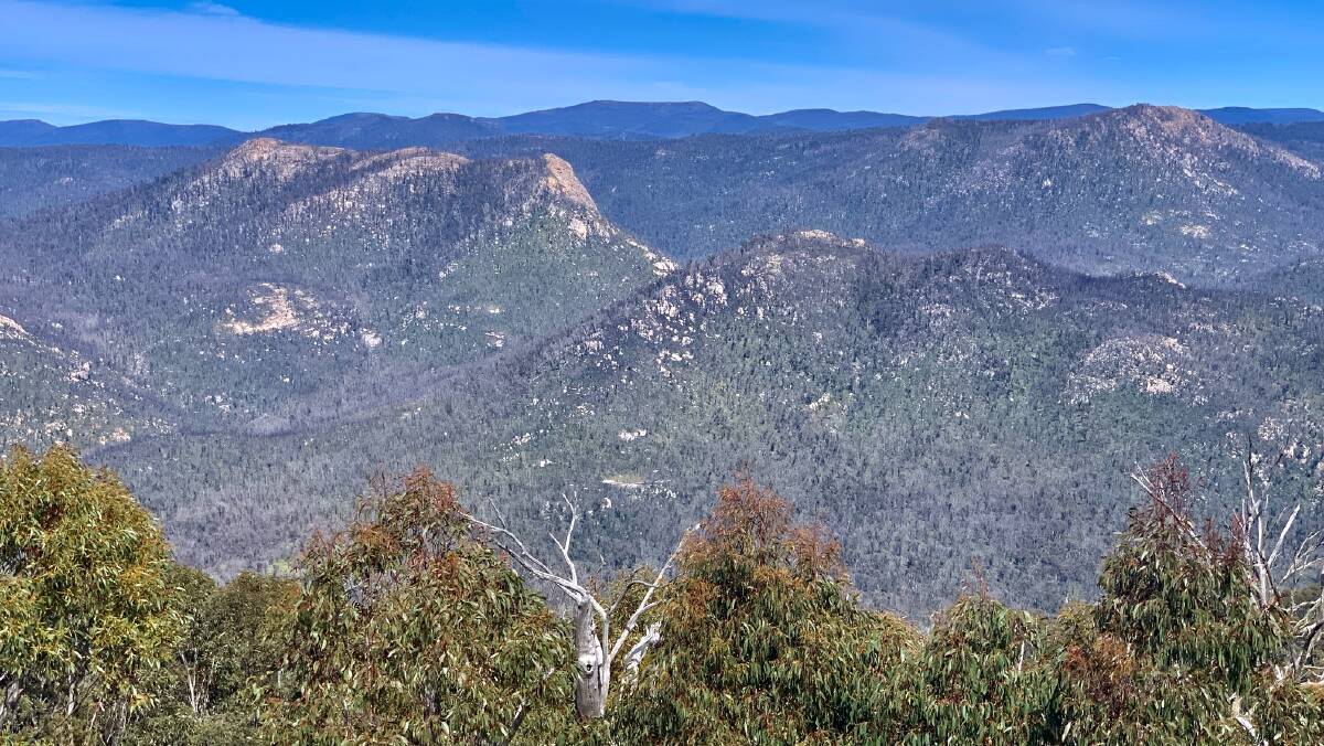View into the rugged heart of Namadgi National Park from the new Mt Tennent track. Picture: Tim the Yowie Man
