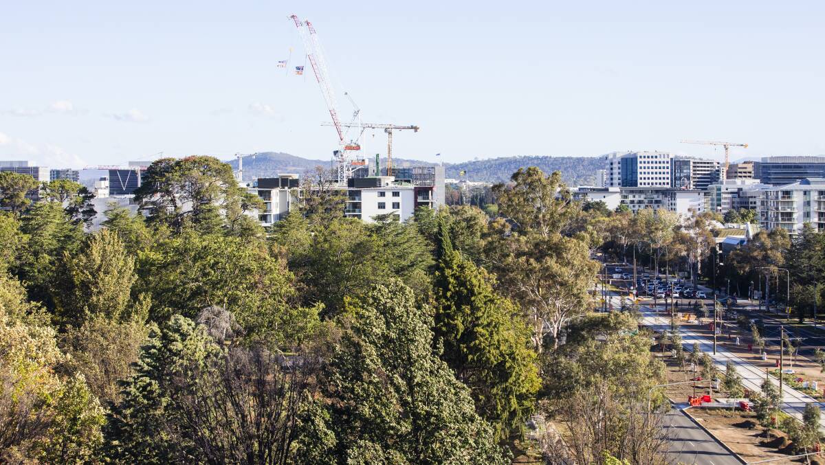 Northbourne Avenue continues to grow - upwards. Picture by Jamila Toderas