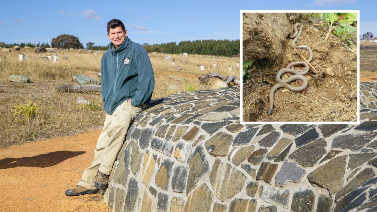 ACT Parks' Darren Le-Roux at the site of the pink-tailed worm-lizard structure in the Molonglo River Reserve, where development is occurring on either side. Picture: Keegan Carroll