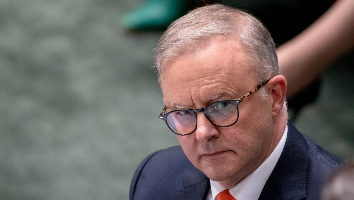Anthony Albanese was transformed by election. He suddenly was the sort of leader we had been missing. Picture by Elesa Kurtz