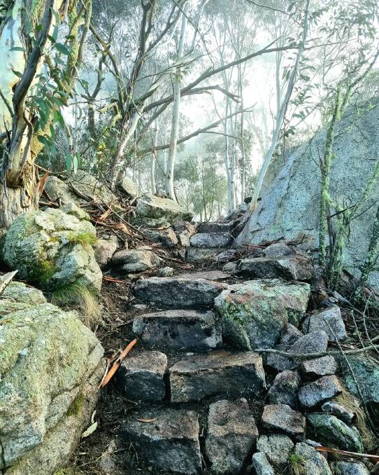 Just a few of the over 2000 stairs on the Mt Tennent track. Picture: Iconic Trails