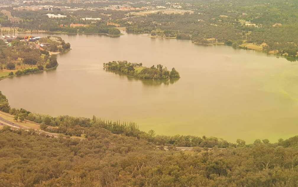 The algae affecting Lake Burley Griffin, as seen from the top of Black Mountain. Picture: Supplied