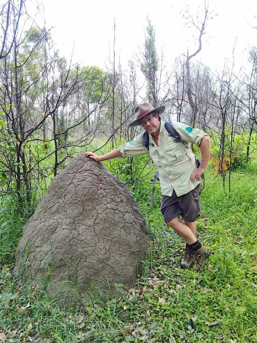 Tim checks out a termite mound in burnt forest near Pebbly Beach. Picture: Dave Moore