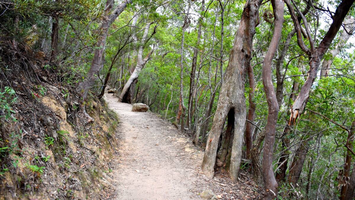Bushwalkers are urged to prepare for adverse conditions - particularly in the heat - after a woman was airlifted to Canberra Hospital. Picture: Shutterstock
