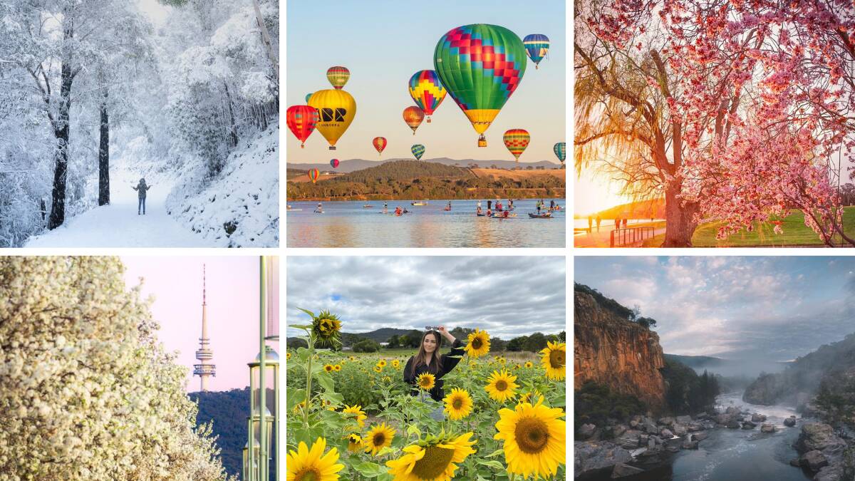 Canberra's top Instagram shots have been revealed.