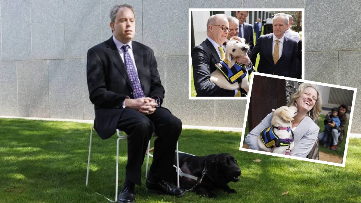 Director at Vision Australia Cam Roles with his seeing eye dog, Fergie. Seeing eye dog puppies visit Parliament House, inset. Pictures by Keegan Carroll