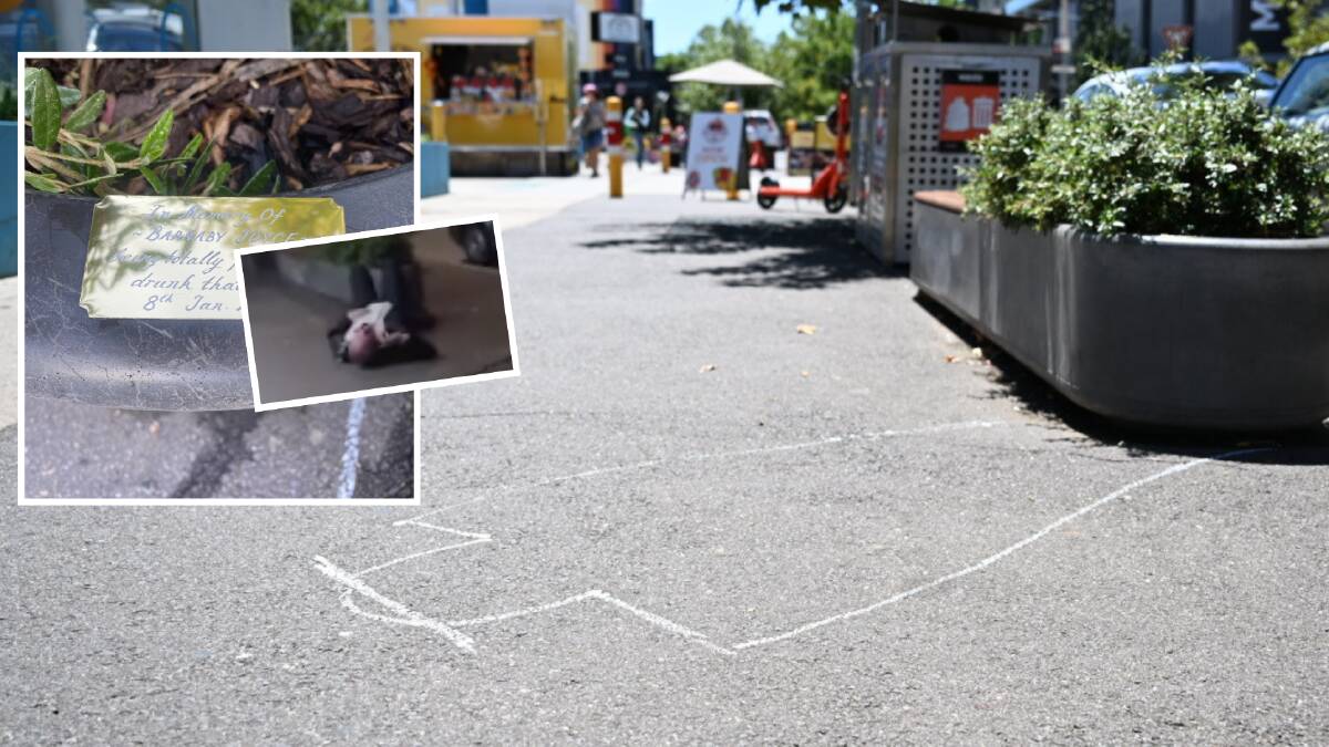 Canberrans react to Barnaby Joyce with a plaque and chalk outline