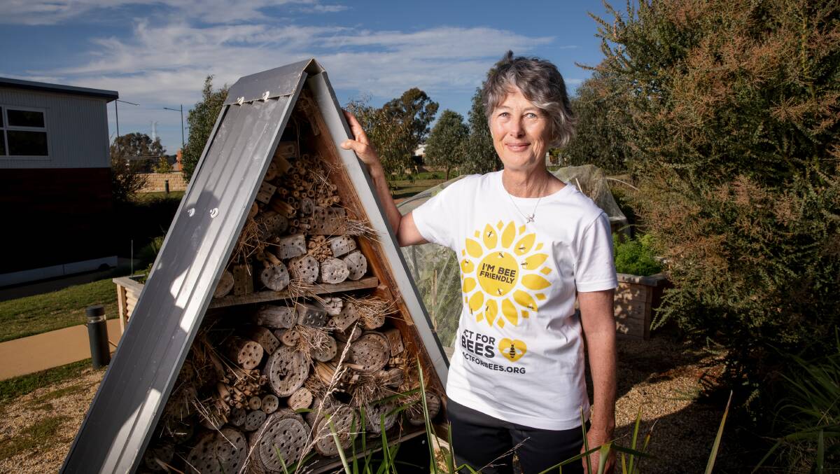 ACT For Bees founder Julie Armstrong at a 'bee hotel' at Ginninderry. Picture: Sitthixay Ditthavong