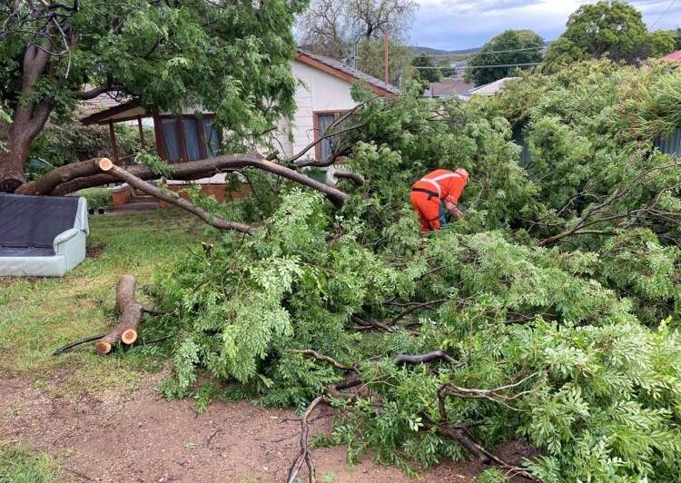 Several trees fell into homes and backyards in the wake of the storm. Picture: SES Queanbeyan