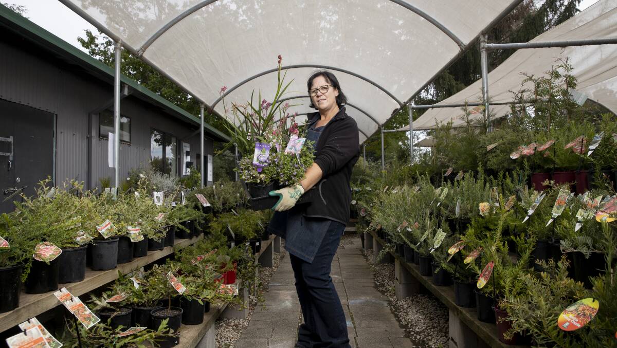 Cool Country Natives owner Karen Brien, who says there's been a surge in customers seeking out plants for their garden during self isolation. Picture: Sitthixay Ditthavong