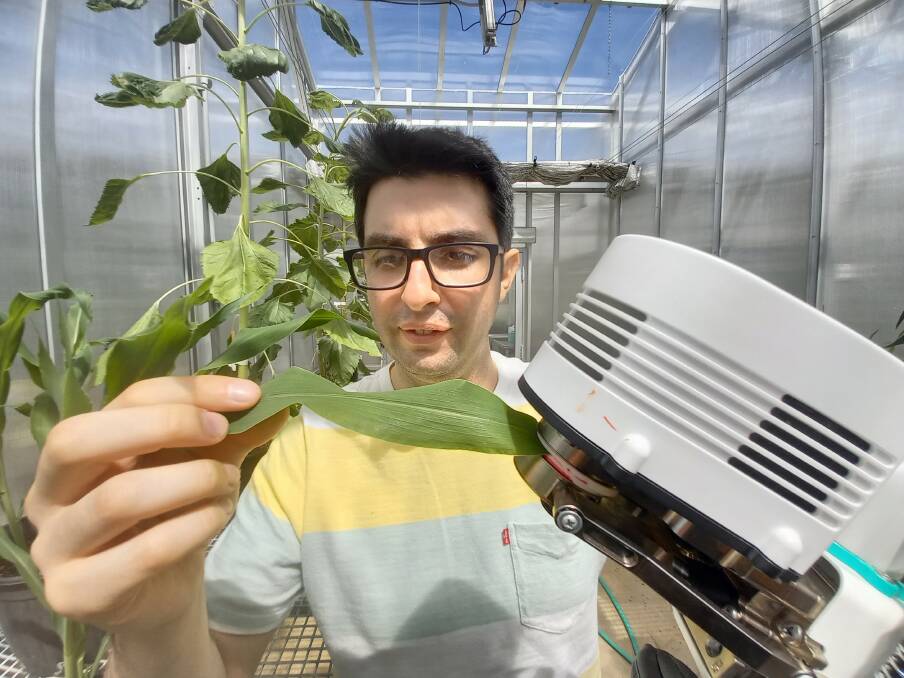 ANU researcher and PhD candidate Diego Marquez has helped to come up with a new way to measure a plant's water level. Picture: ANU Media