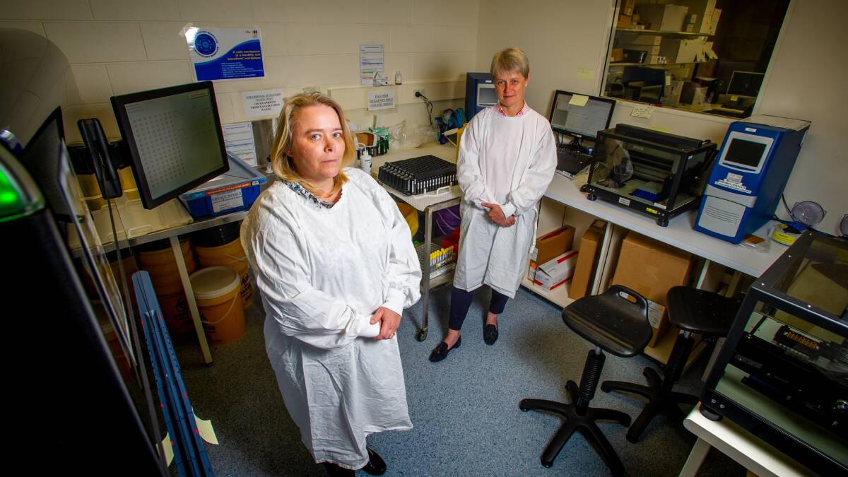 Director of clinical microbiology at ACT Pathology, Karina Kennedy, and clinical director to the ACT's COVID-19 response, Imogen Mitchell, in a COVID-19 testing lab Picture: Elesa Kurtz 