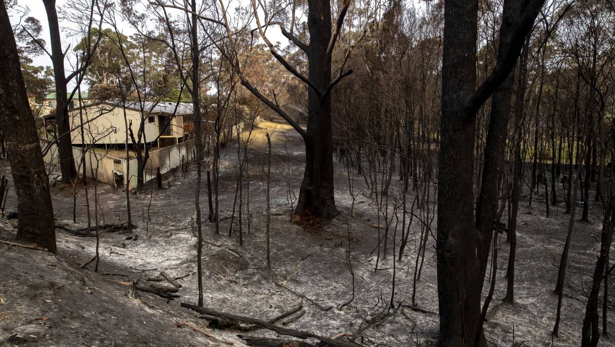 A house in Lake Tabourie was fortunate to have survived Thursday's bushfire. Picture: Sitthixay Ditthavong 