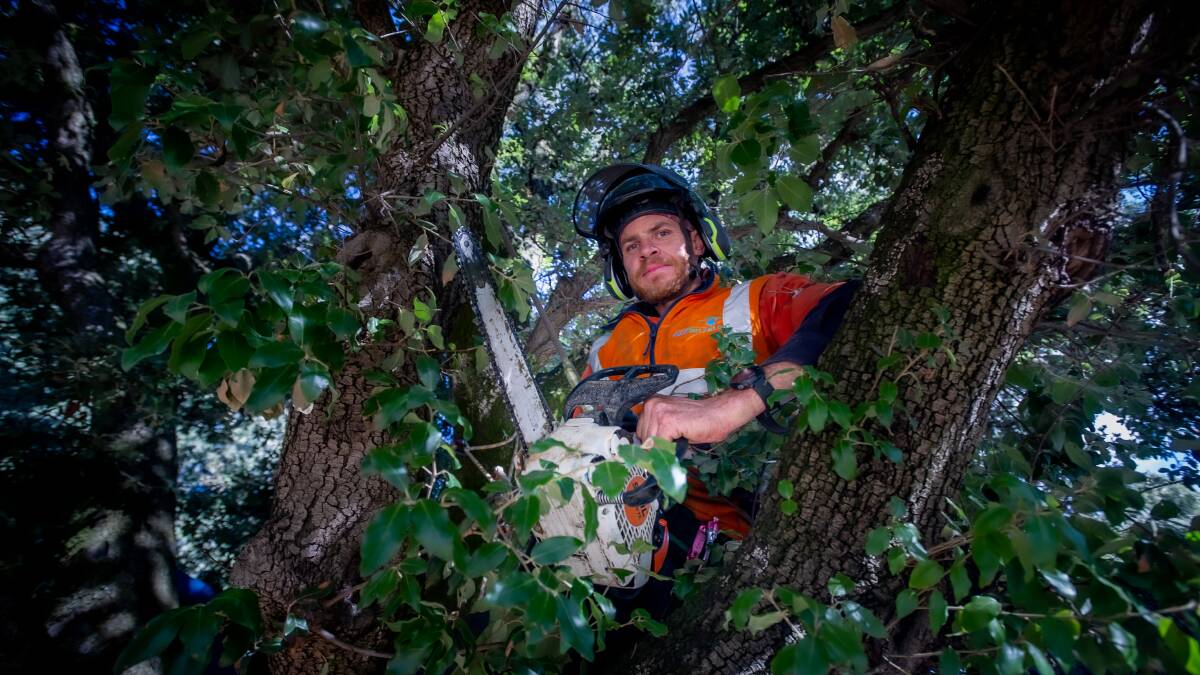 ACT Tree Felling senior arborist Kieran Wallace, who says demand has surged for services. Picture: Karleen Minney
