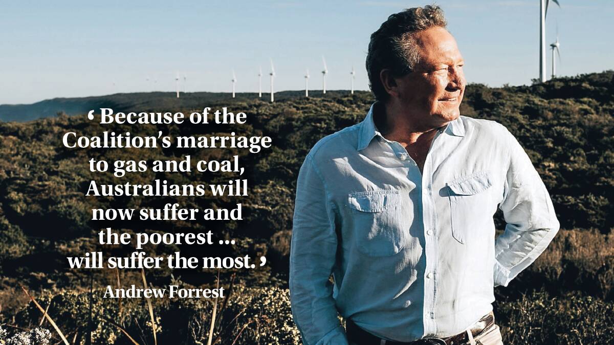 Andrew "Twiggy" Forrest says Australia is paying the price for the Coalition's "coal and gas worshipping". Picture: Supplied