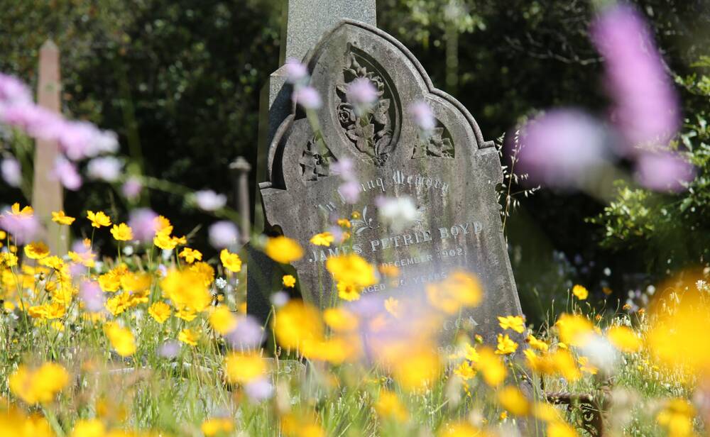 In these isolated times my mind's eye is often at some cemeteries 19,000 kilometres away. Picture: Shutterstock