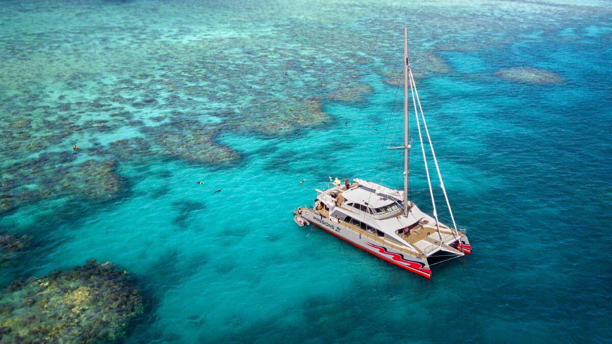 Reef tours by the Passions of Paradise tour company have all been cancelled.