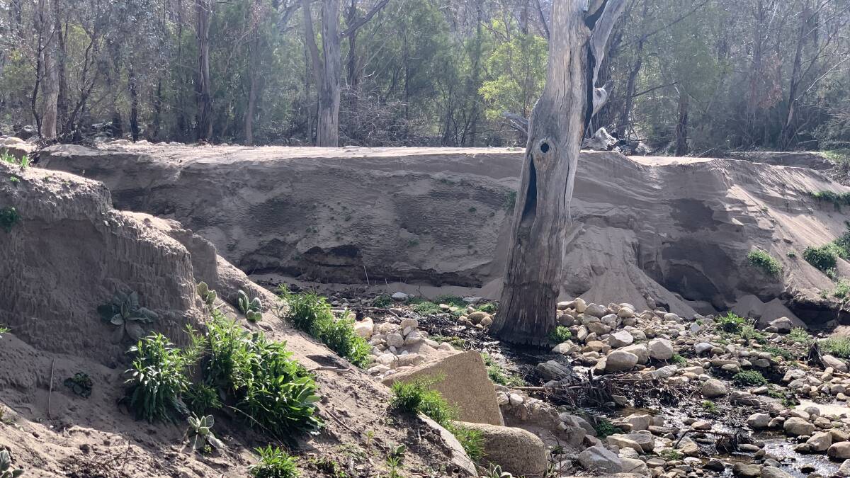 After fire and big winter rains, many creeks in Namadgi have become clogged with silt. Picture: Tim the Yowie Man