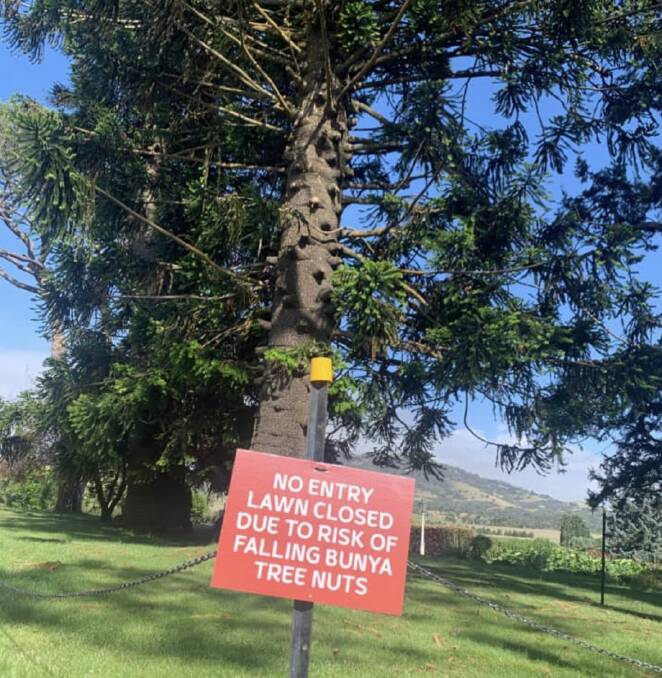 A warning sign at Lanyon Homestead's Bunya Lawns. Picture byTim the Yowie Man