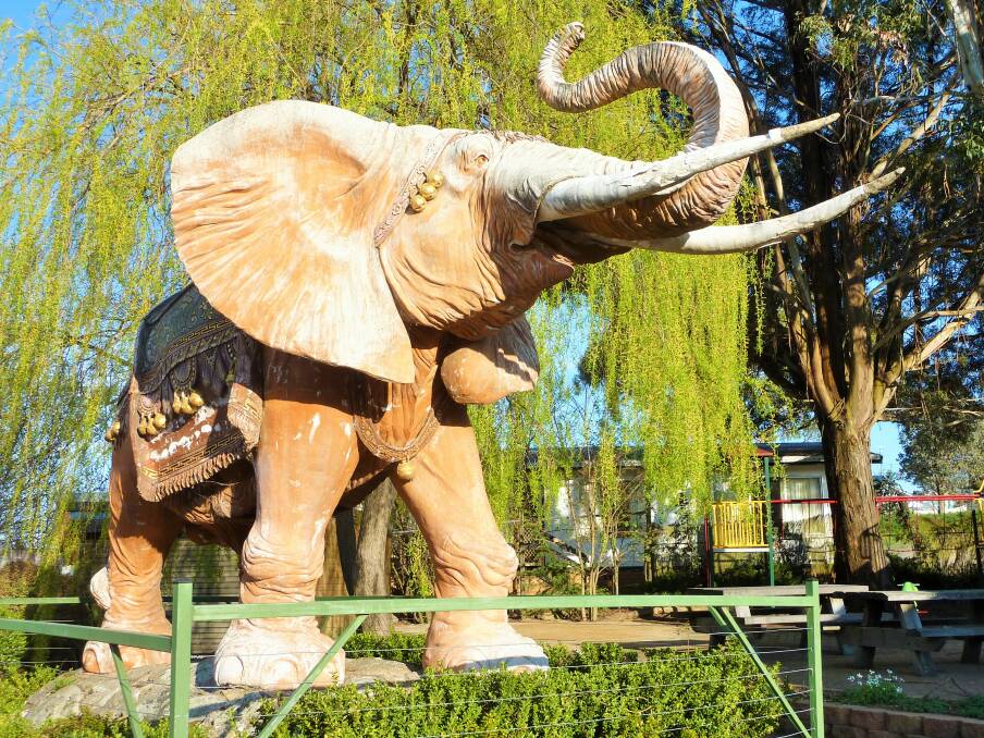 Nimmitabel's other unusual tourist attraction - a giant elephant next to the bakery. Picture: Tim the Yowie Man
