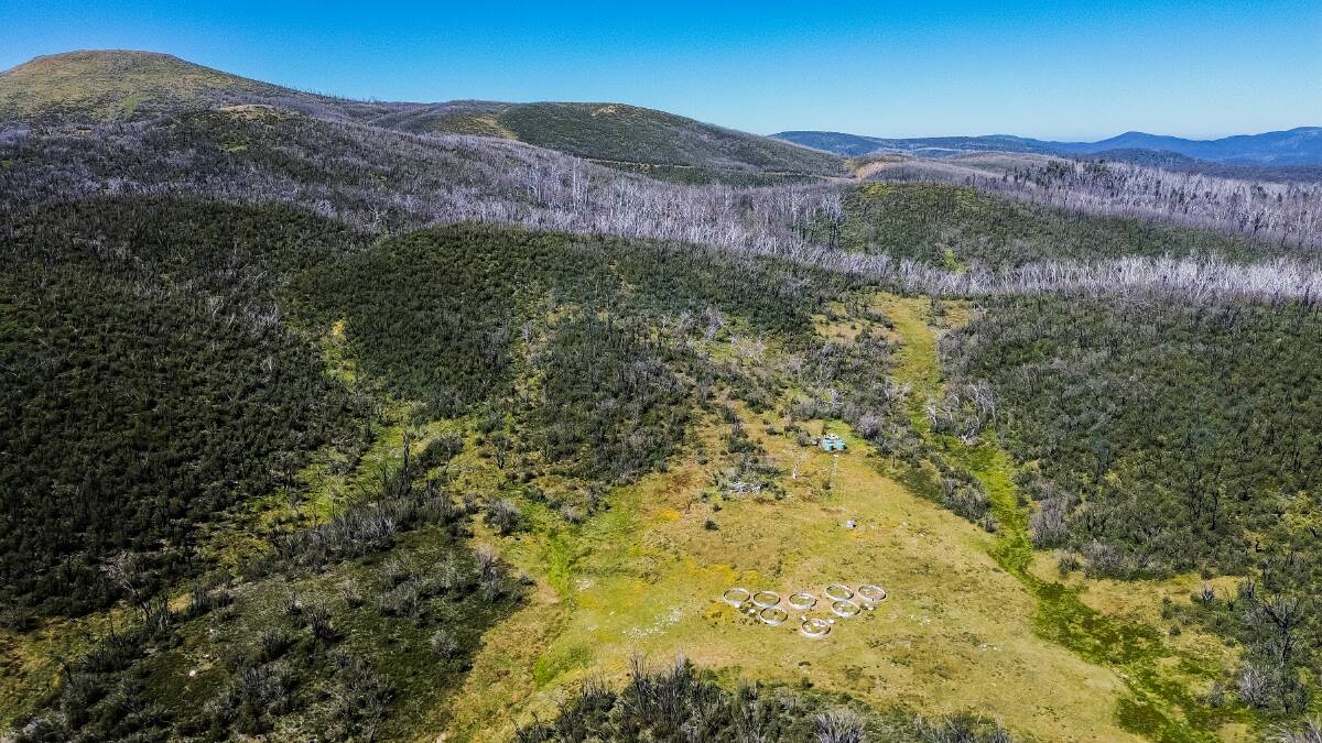 The purpose-built enclosures in Kosciuszko National Park. Picture by Alex Pike
