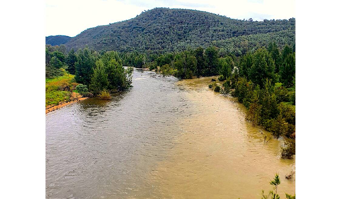 Turbidity at the confluence of the Cotter and Murrumbidgee rivers. Picture: Dan Backhouse