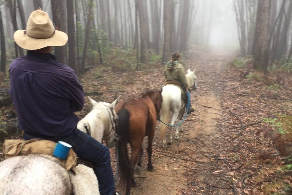 Traversing the Corn Trail, an historic south coast track that has been maintained by horse riders and national park staff. Picture: Julia Short