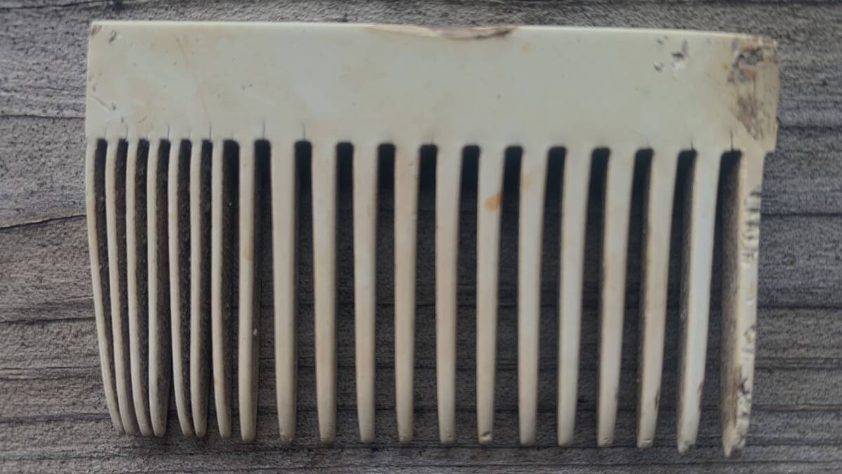 The comb that John Feehan found beneath the kitchen floorboards that inspired him to keep his family cottage. Picture byTim the Yowie Man