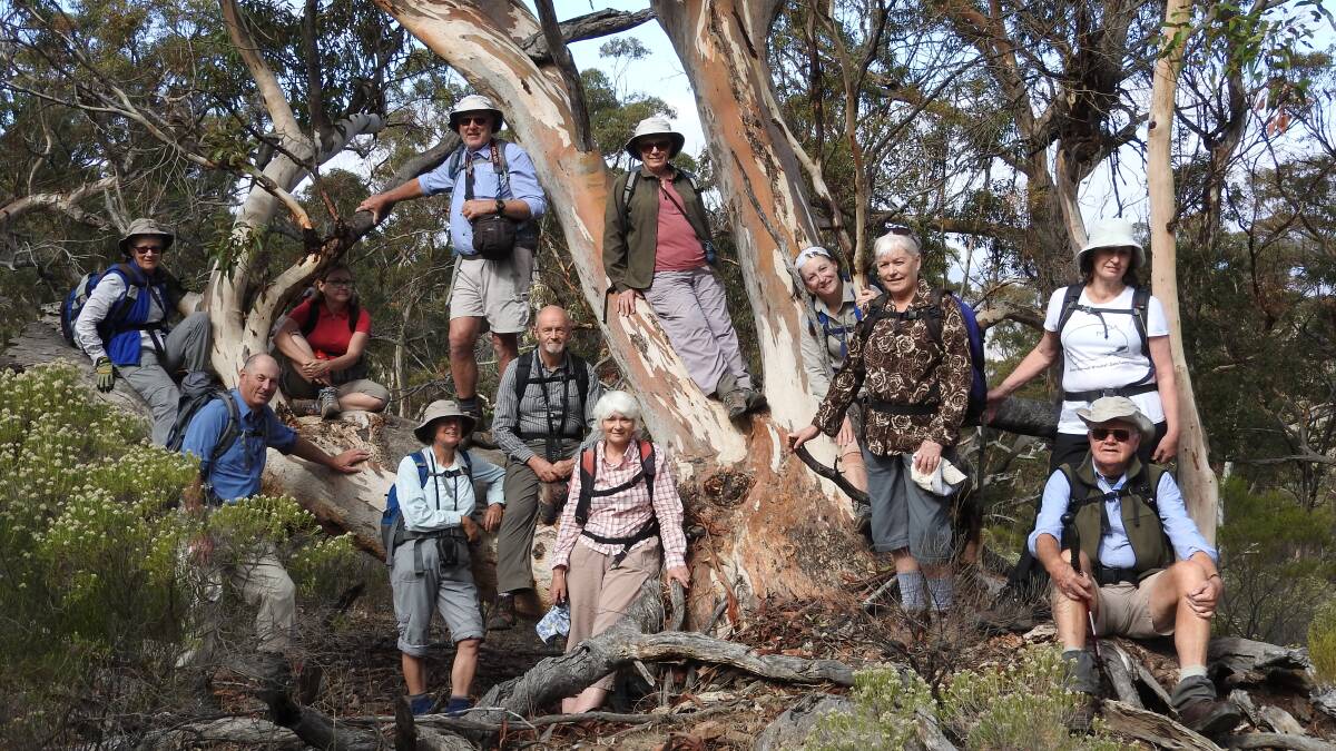 Happy walkers take a breather at Dutchmans Stern. Picture: Quentin Moran