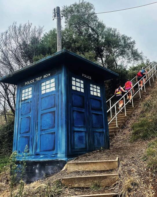 The Doctor's Red Hill Tardis. Picture: Rachael Coglan