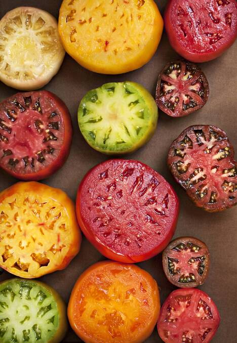 There are literally hundreds of varieties. Picture: Shutterstock