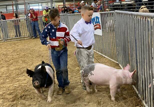 The young pig handlers are saddled with the broken dreams of their parents. Picture: Foxtel