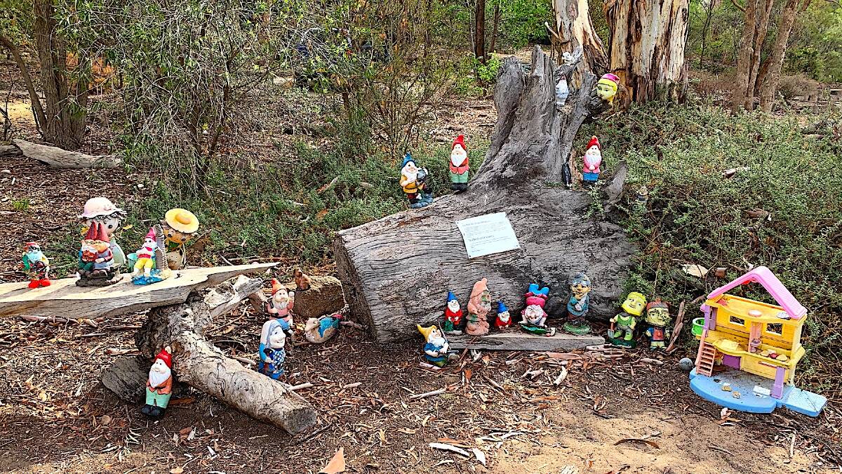 Last week's location was a gnome gathering on the way to Farrer Ridge. Picture: Leigh Palmer