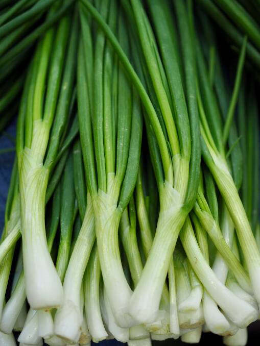 Spring onions can be planted any time of the year, including now. Picture: Shutterstock