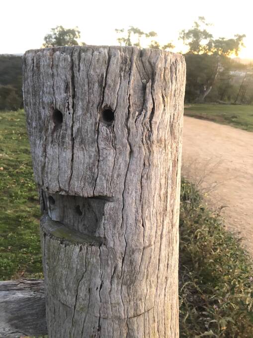 Smiling fencepost on Red Hill. Picture: Shay Simpson