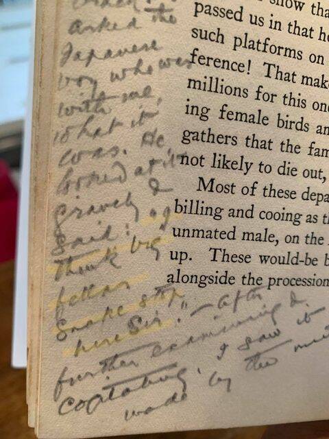 Marginalia in one book turns into a text in the chapter of another (below). Pictures: Craig Allen