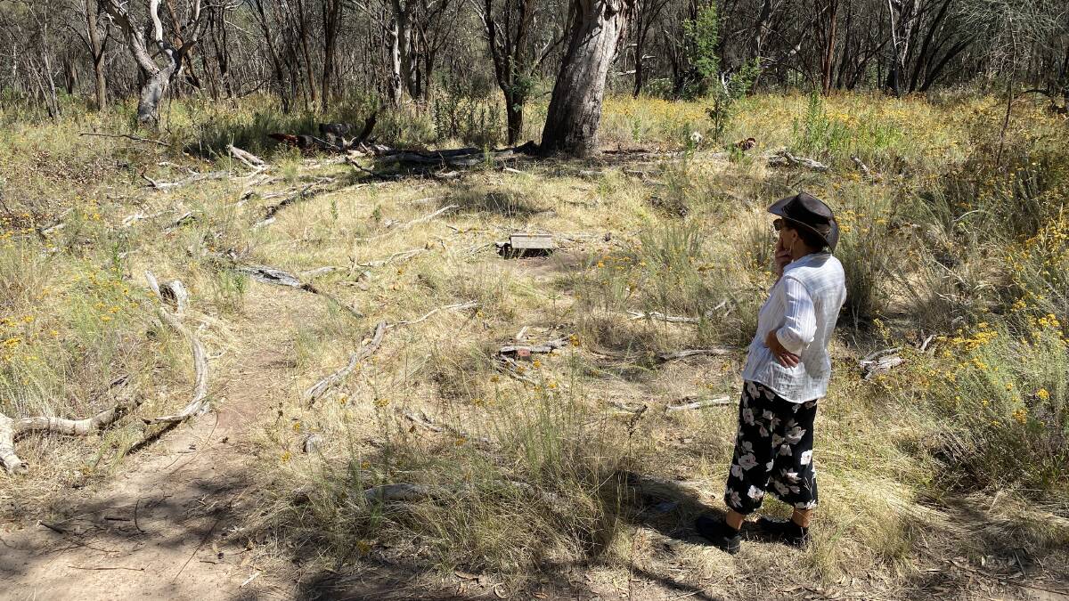Julie surveys the damaged labyrinth earlier this week. Picture by Tim the Yowie Man