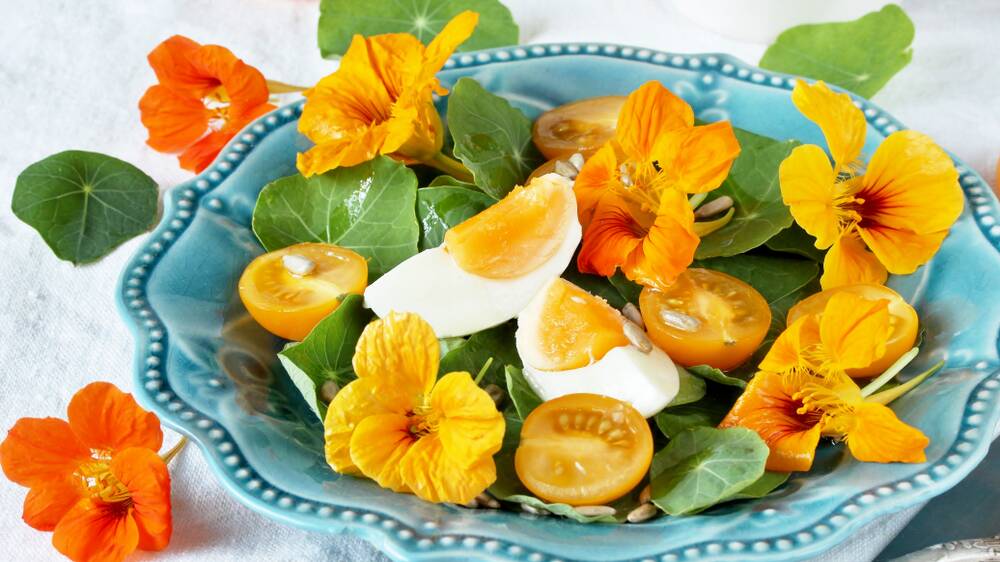 Nasturtium flowers can be stuffed and cooked like vine leaves, or tossed at the last minute into salads.