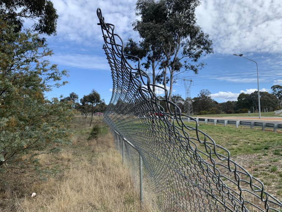 Canberra's 'Kangaroo-proof fence' which runs for a stretch of the Tuggeranong Parkway between Cotter Road and Sulwood Drive. Picture: Tim the Yowie Man
