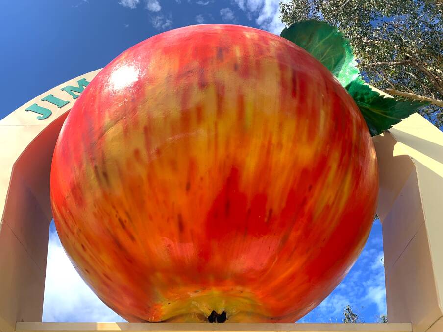 Know the location of this 'big' thing? Picture: Tim the Yowie Man