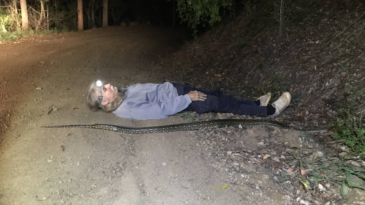 Wildlife ecologist Ross Goldingay 'python planking' in northern NSW. Picture: Supplied