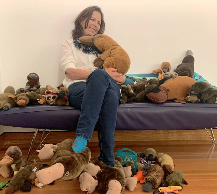 Karen Collins with some of her collections of platypus 'fluffies' that will be on display at CMAG. Picture by Tim the Yowie Man
