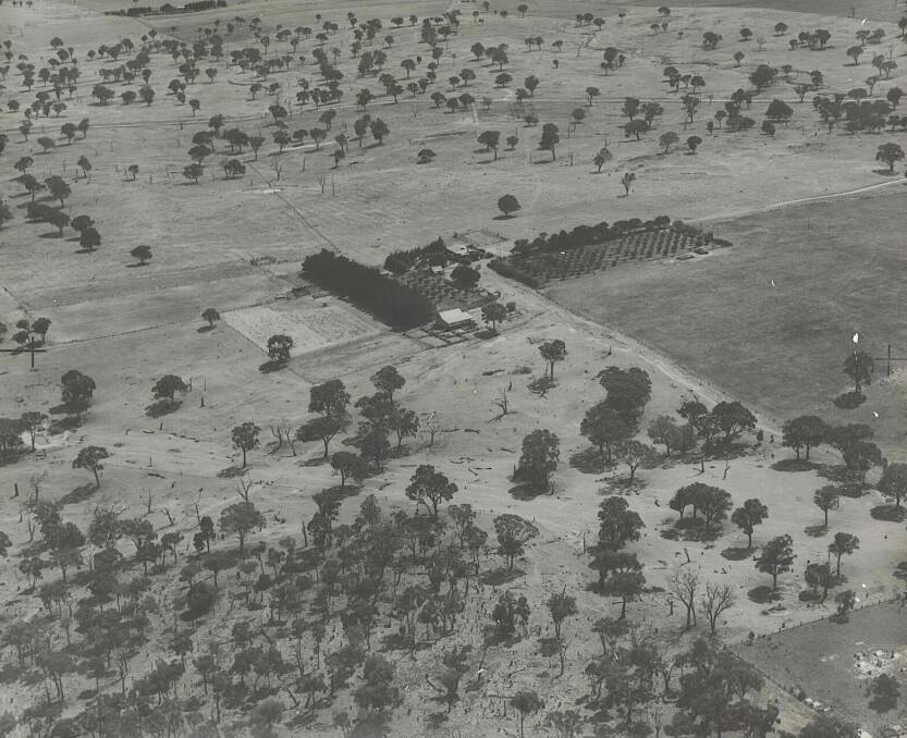 An aerial view of part of the Weetangera Cemetery in 1950 at bottom right. At centre is the new Lands End Homestead which is located on the corner of William Hovell and Drake Brockman Drives. Picture: NLA