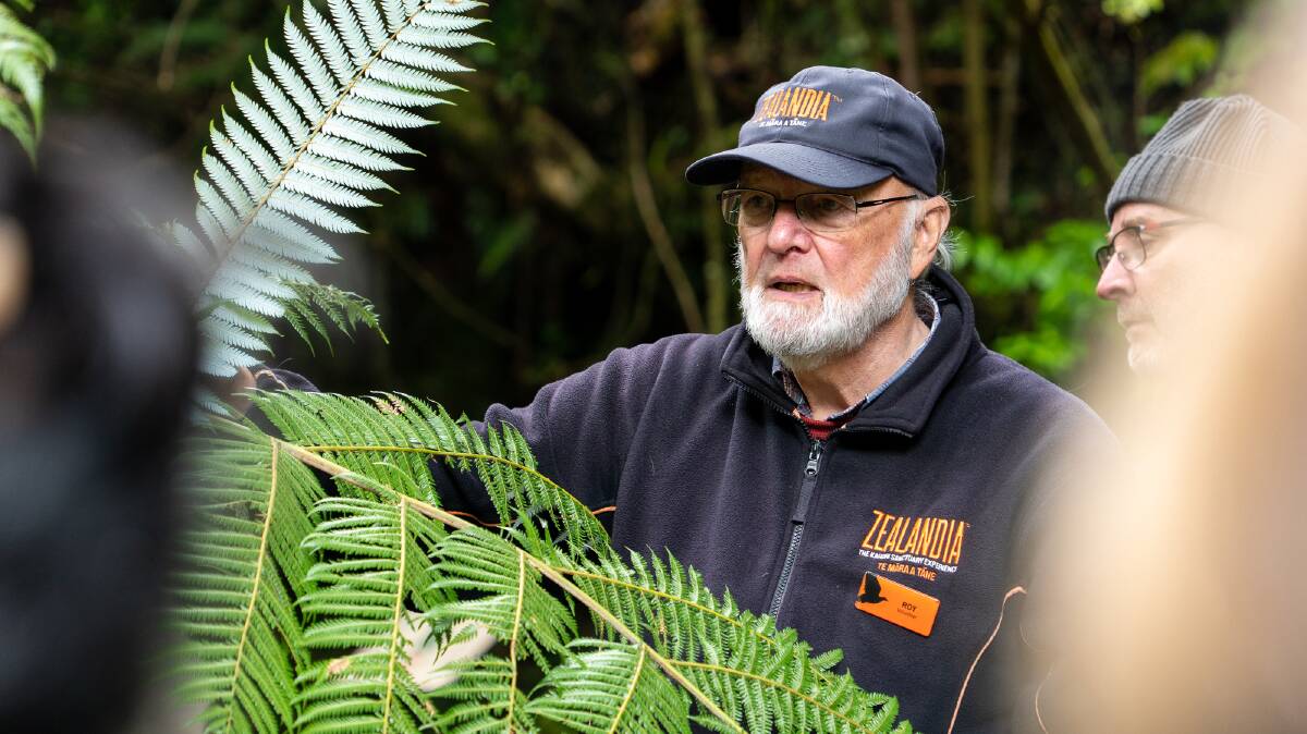  Volunteer guide Roy Sharp at the Zealandia natural sanctuary. Picture by Michael Turtle 