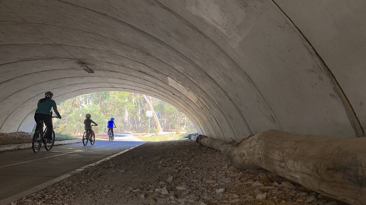Many people cycle and walk through underpasses like this one on Gungahlin Drive, oblivious to the purpose of the logs laid end to end along the ground. PIcture: Tim the Yowie Man